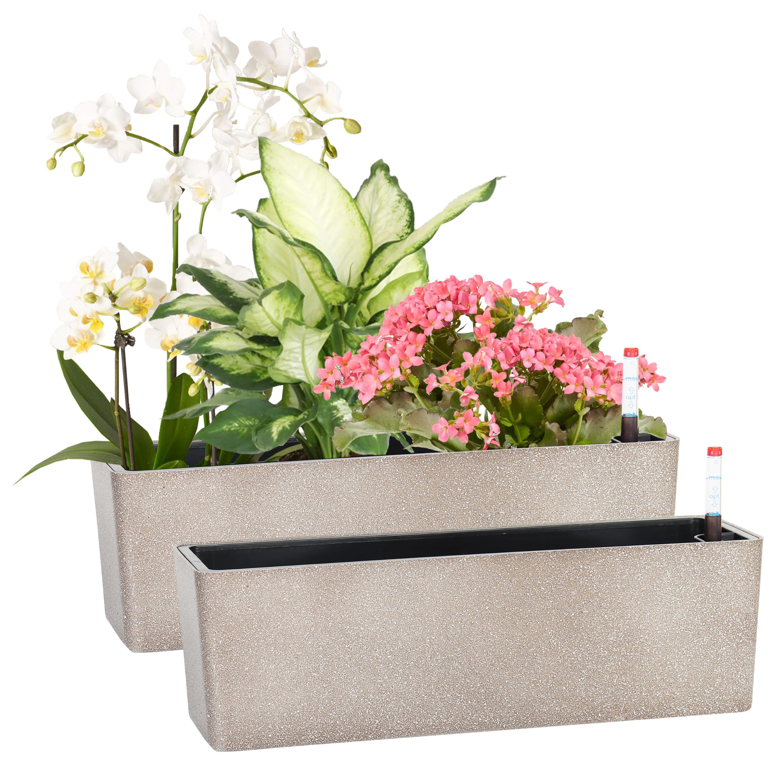 GardenBasix elongated self-watering planter pots coffee finish full view on windowsill for indoor greenery
