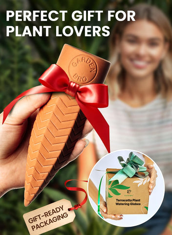 Gardenbro gift-ready packaging invites plant lovers to try self-watering.