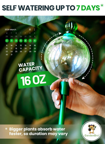 GardenBro metal self-watering insert providing durable plant care