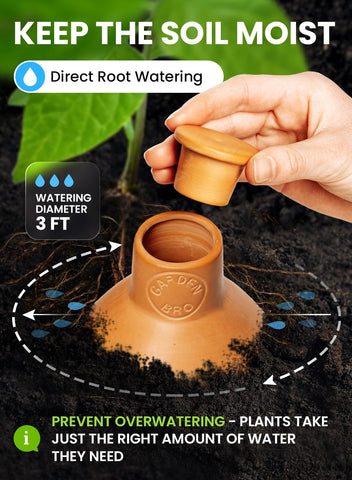 Gardenbro Olla Pot XL in soil with roots touching terracotta
