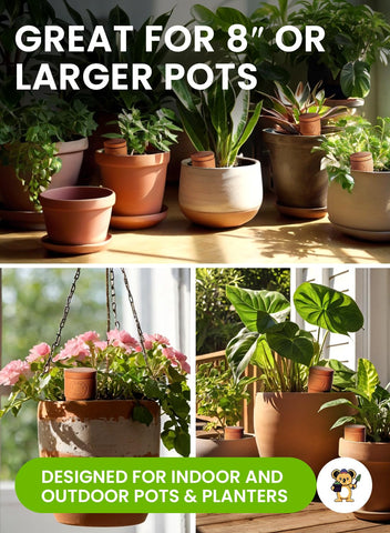 Gardenbro Olla spikes installed in a pot illustrate steady moisture delivery.