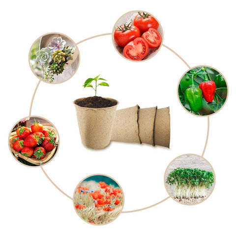 Garden Depot eco-friendly recycled pulp material in biodegradable pots