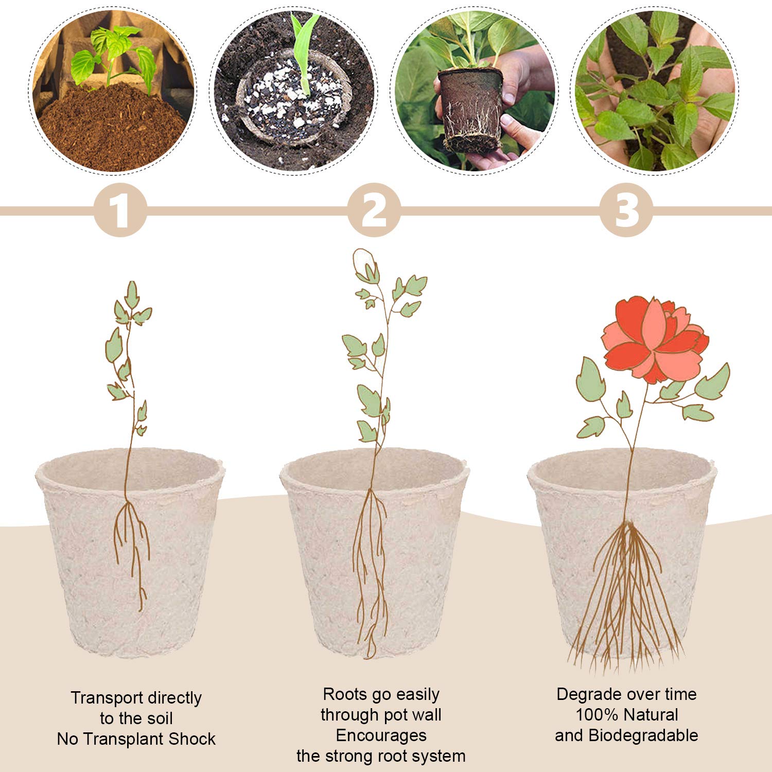 Garden Depot root-friendly pots ready for direct soil planting