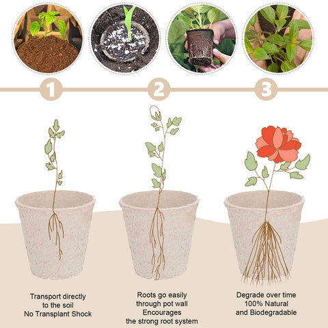 Garden Depot root-friendly pots ready for direct soil planting