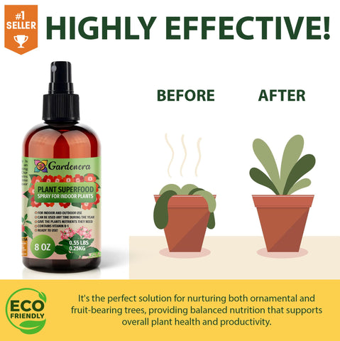 Gardenera bamboo with vibrant leaves after using Plant Superfood Spray.