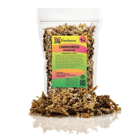 Gardenera carnivorous mix close-up showing fluffy sphagnum for moisture retention