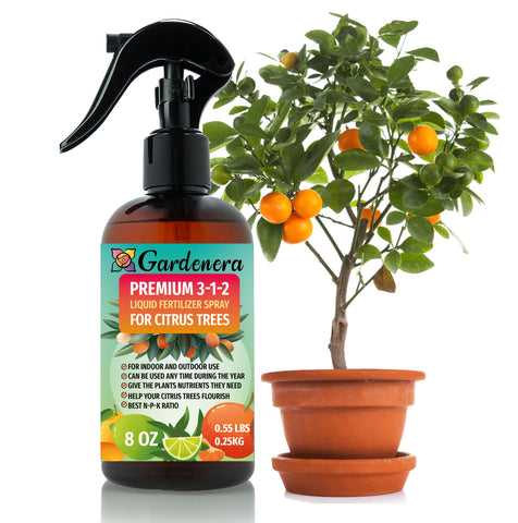 Gardenera Citrus Tree Spray bottle delivering a gentle 3-1-2 nutrient mist for lush foliage.