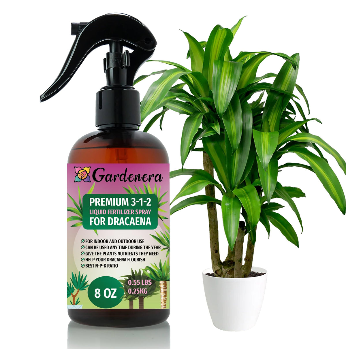 Gardenera Dracaena spray bottle mist for lush foliage and healthy indoor growth.