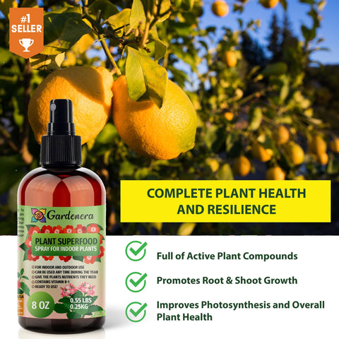 Gardenera spray supports indoor/outdoor bamboo growth in home or garden.