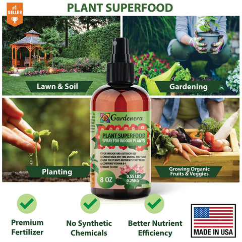 Gardenera indoor-outdoor care setup showing year-round money tree health.