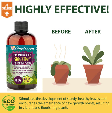 Gardenera indoor plants show vibrant leaves and lush growth.