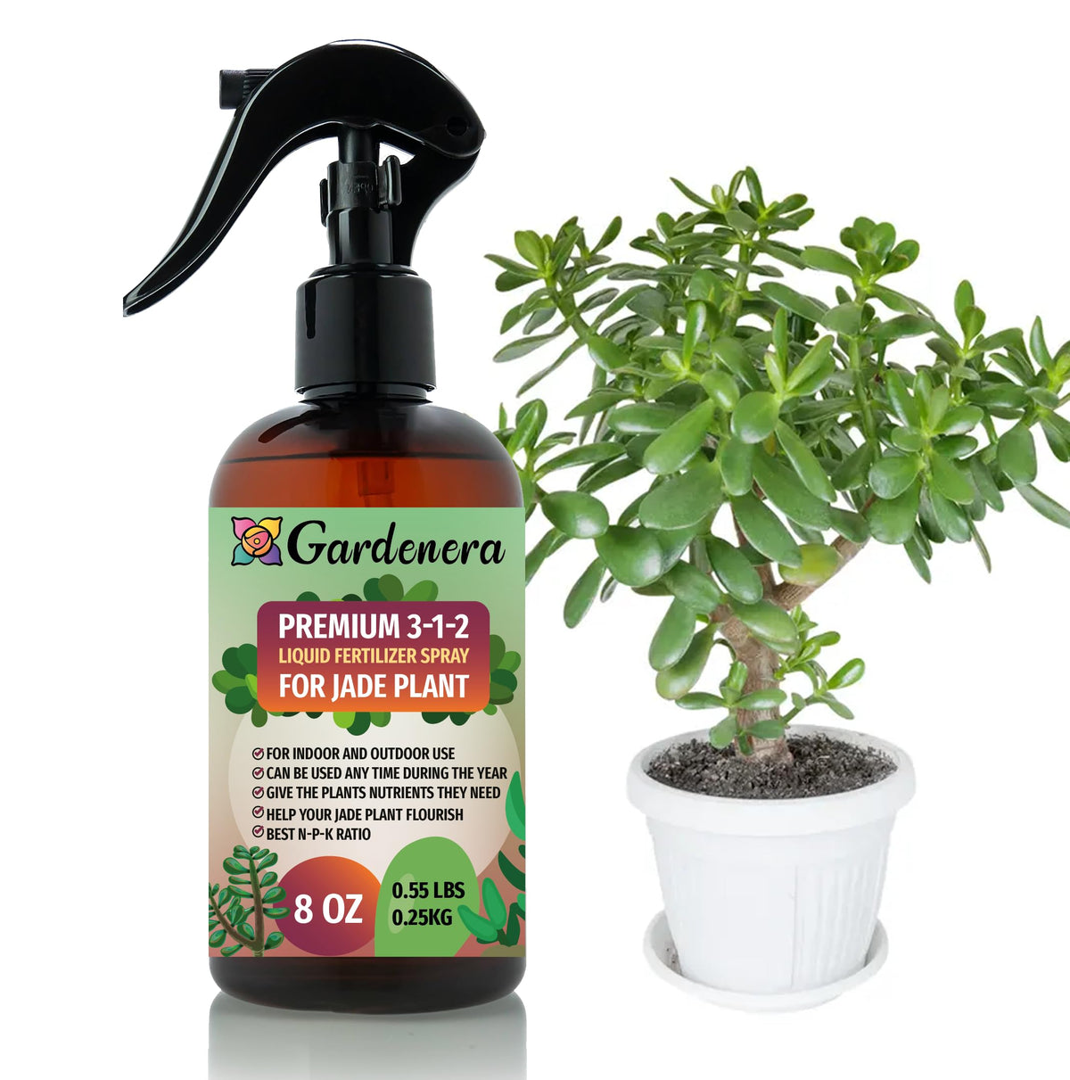 Gardenera Jade Plant Spray Mist bottle nourishing healthy, lush leaves.