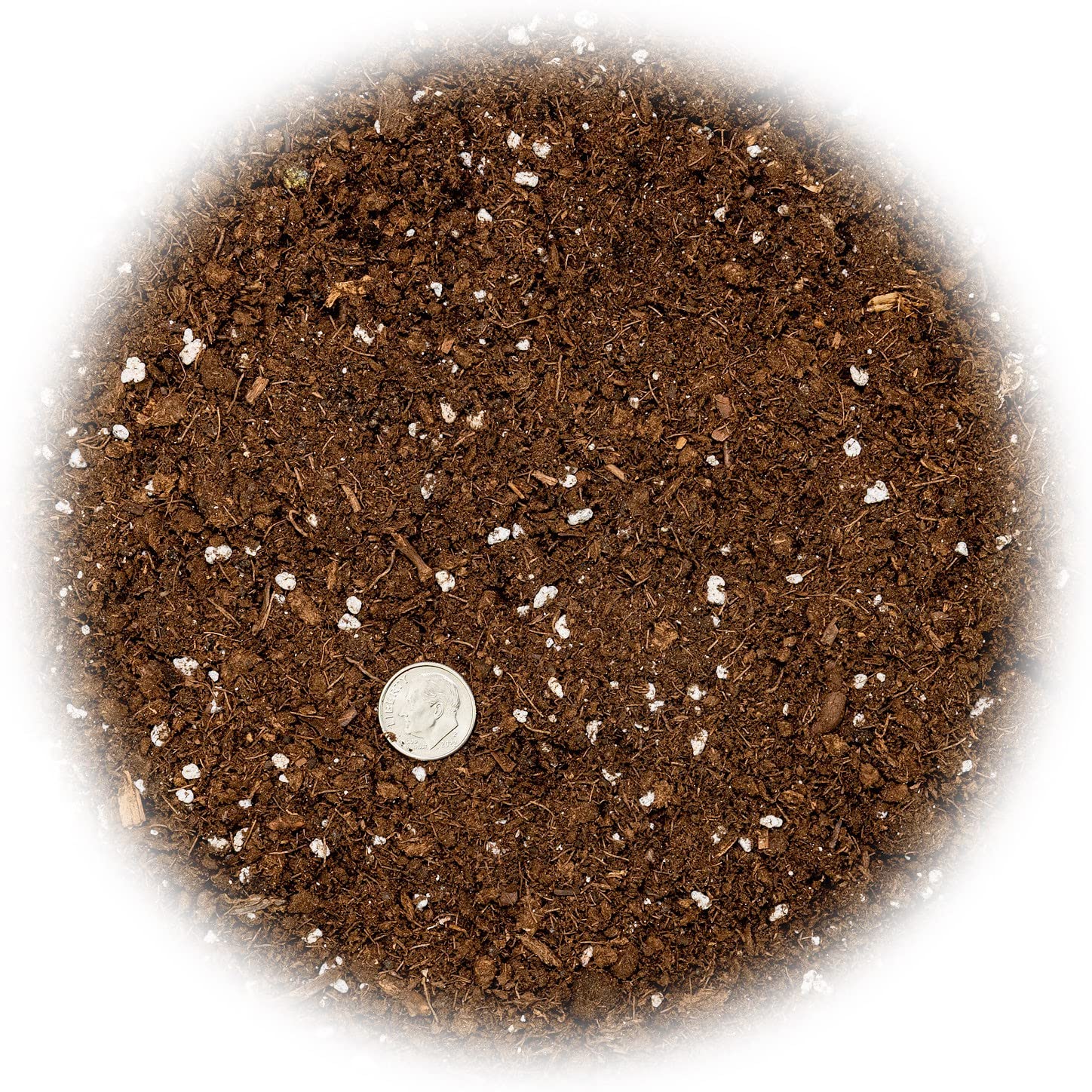 Gardenera Money Tree soil mix for repotting promotes root growth and vibrant foliage.