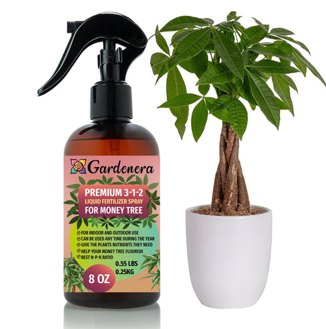 Gardenera Money Tree Spray Bottle shows a ready-to-use mist for lush foliage