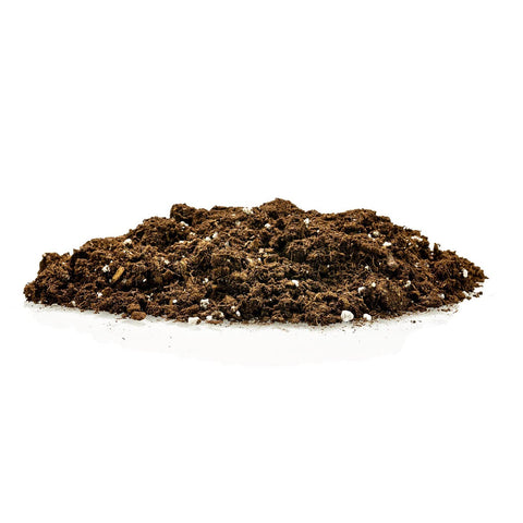USA-made Gardenera Money Tree soil blend on a home potting setup.
