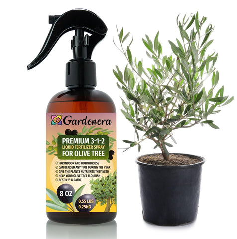 Gardenera olive tree spray mist bottle promotes lush leaves and growth