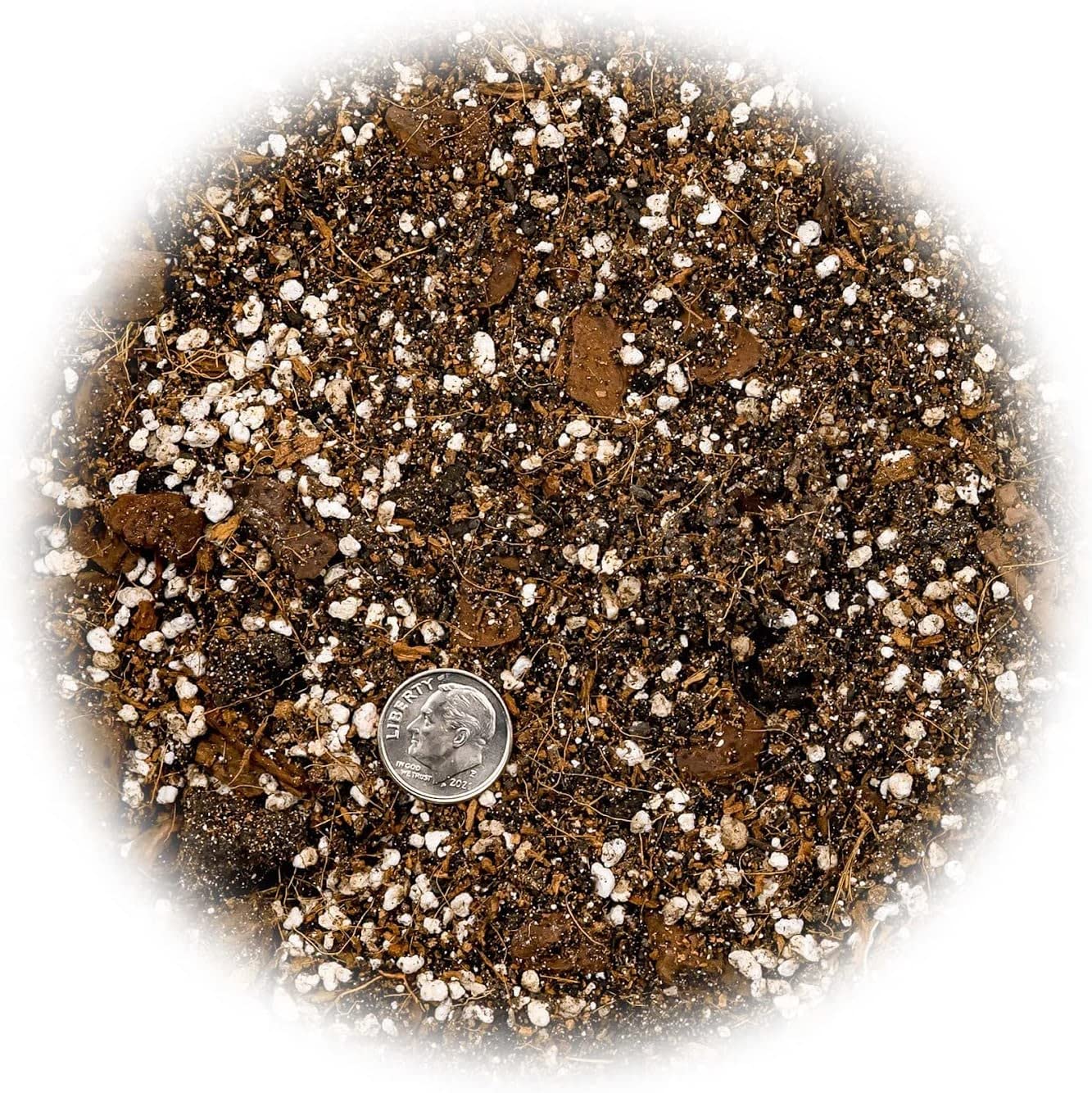 Gardenera organic-usa-sourced-soil potting mix promotes healthy Spider Plant growth