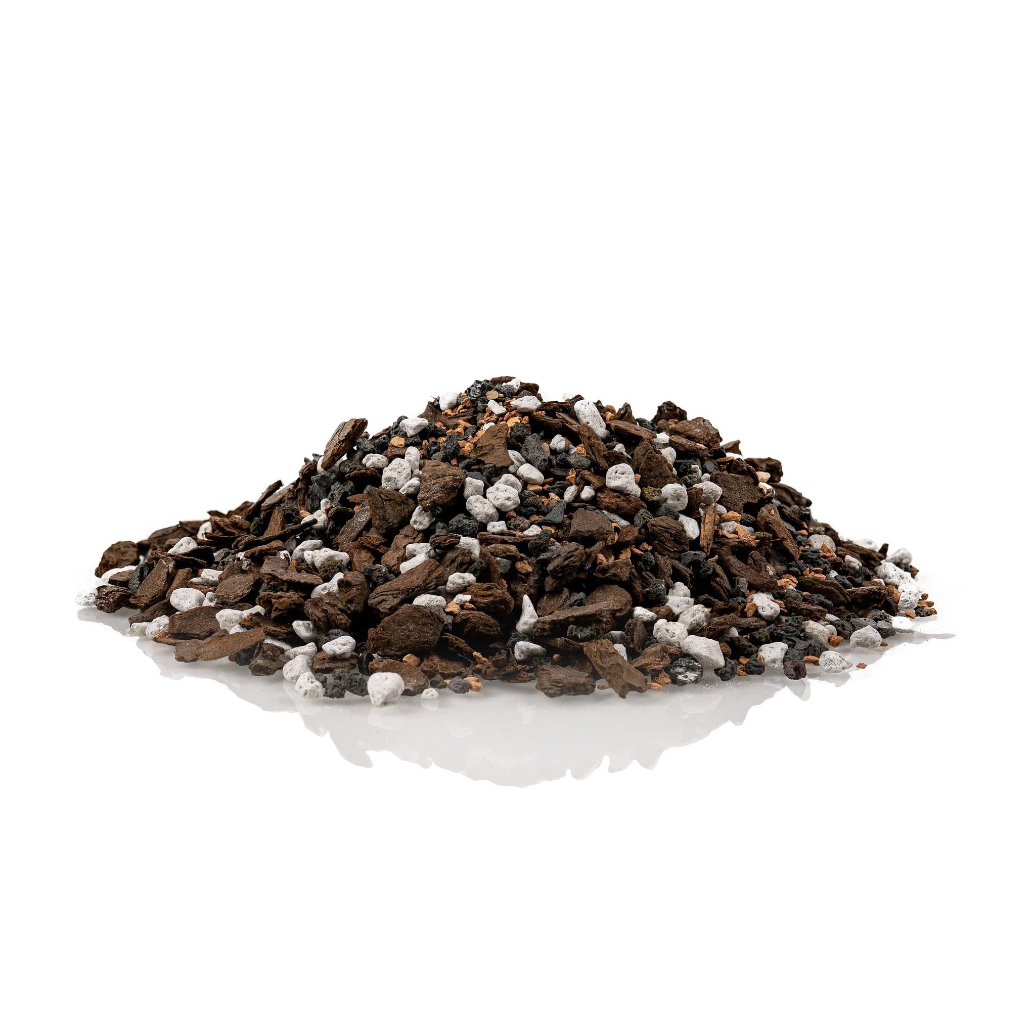 Gardenera bonsai soil in pot demonstrating healthy root space.