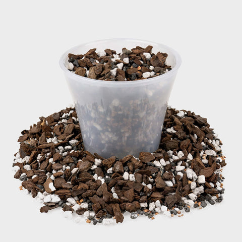 Gardenera bonsai soil close-up texture with pine bark enhances aeration.