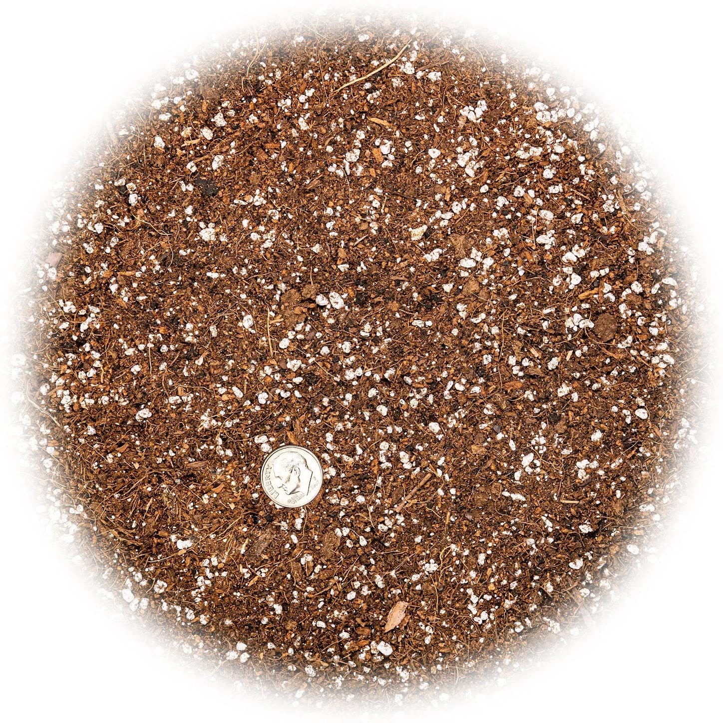Gardenera Pro Carnivorous Soil butterwort-closeup shows moisture balance benefits