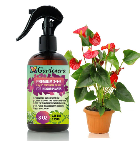 Gardenera Professional indoor bottle mist enhances foliage with balanced nourishment