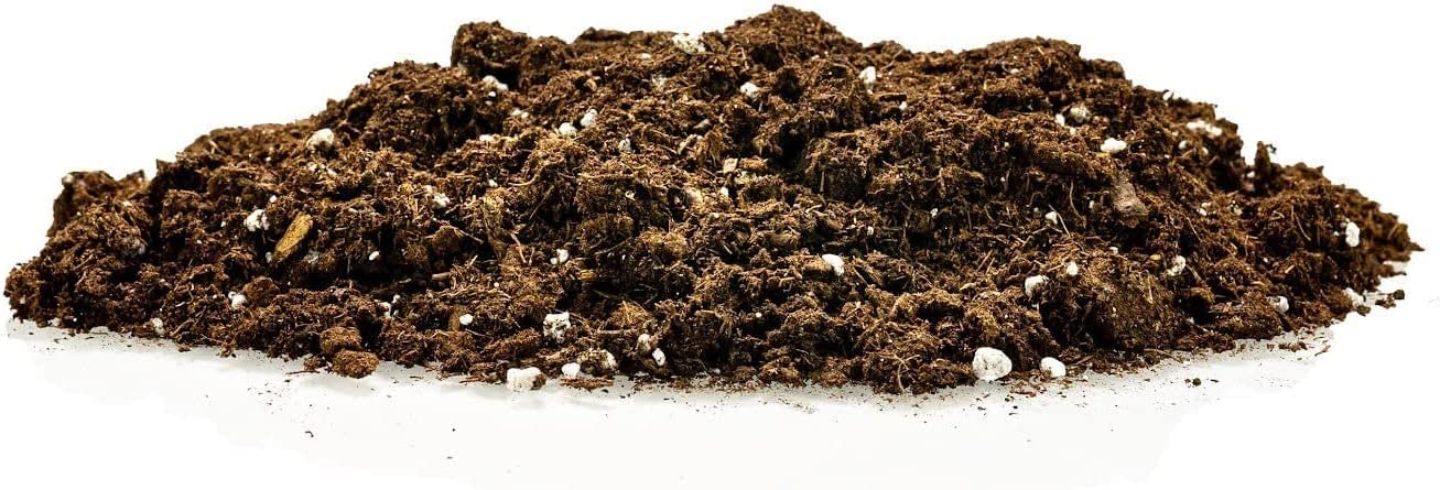 Gardenera rapid root development focus shows quick, healthy root growth.