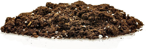 Gardenera rapid root development focus shows quick, healthy root growth.