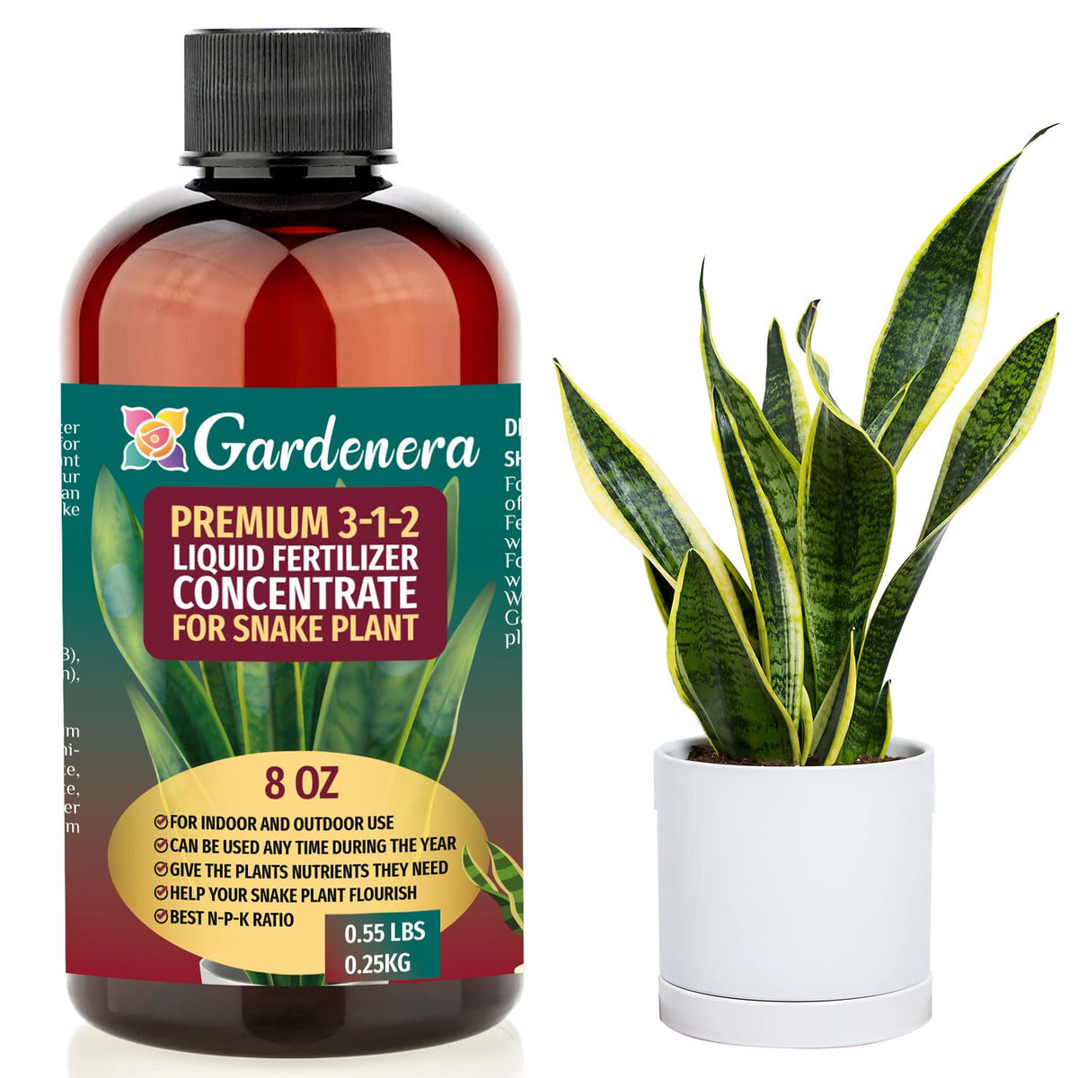 Gardenera snake plant fertilizer bottle pour supports robust root growth.