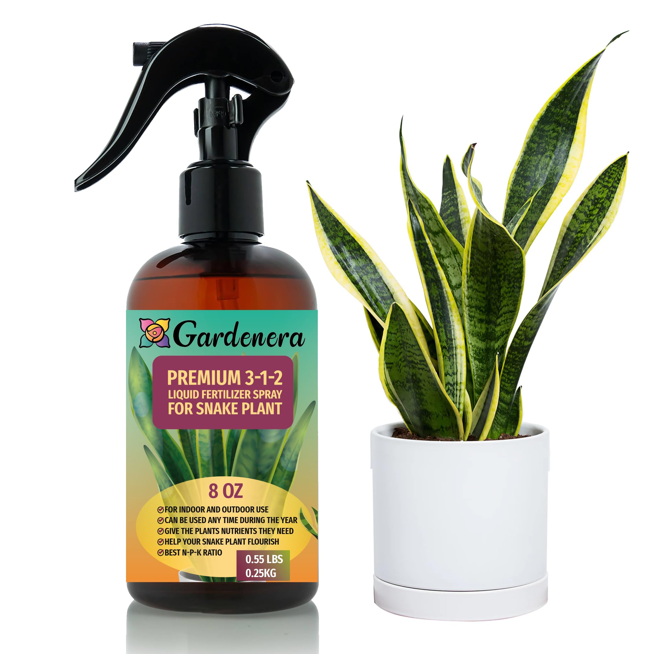 Gardenera snake plant mist bottle promotes gentle feeding for lush leaves.