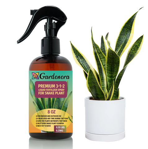 Gardenera snake plant mist bottle promotes gentle feeding for lush leaves.