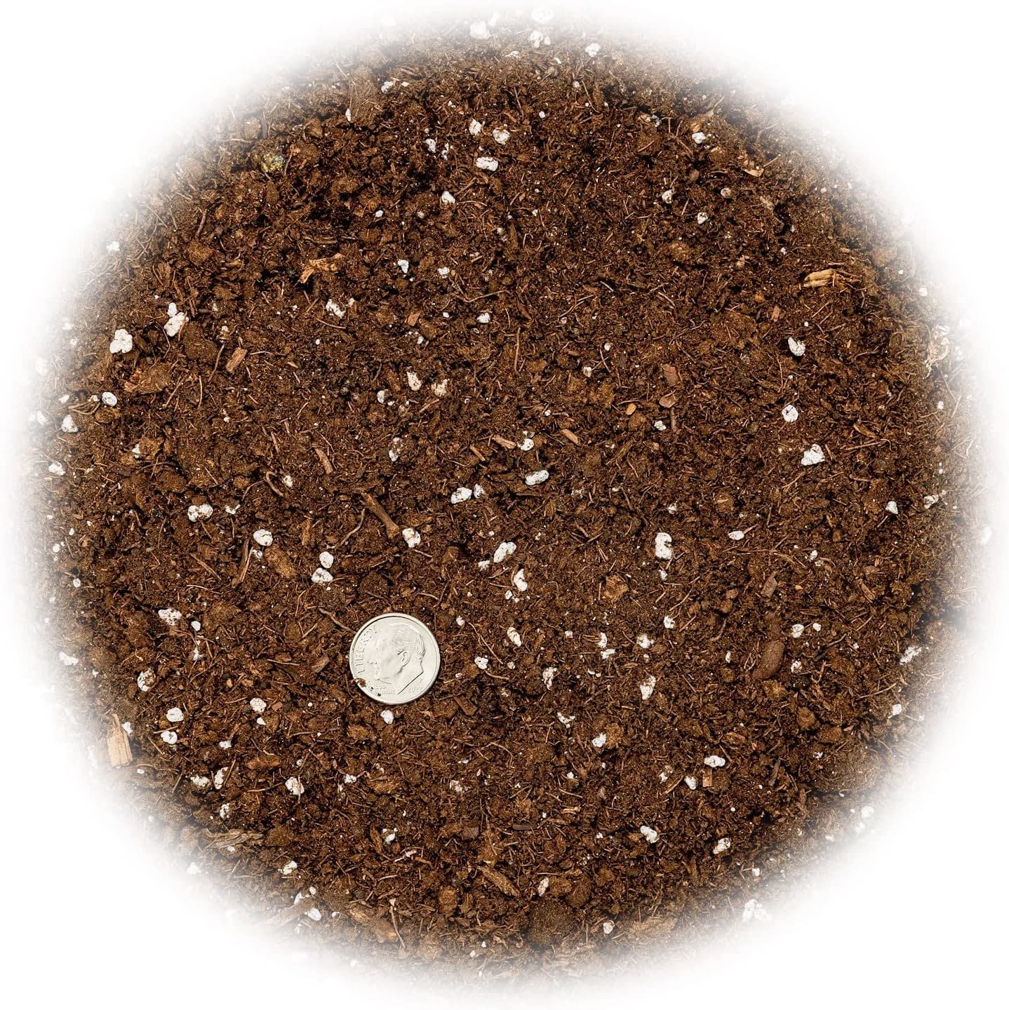 Gardenera snake plant mix with drainage supports healthy roots.