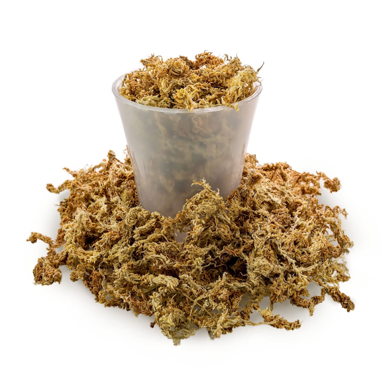 Gardenera Sphagnum Moss used for orchid mounting and moisture management
