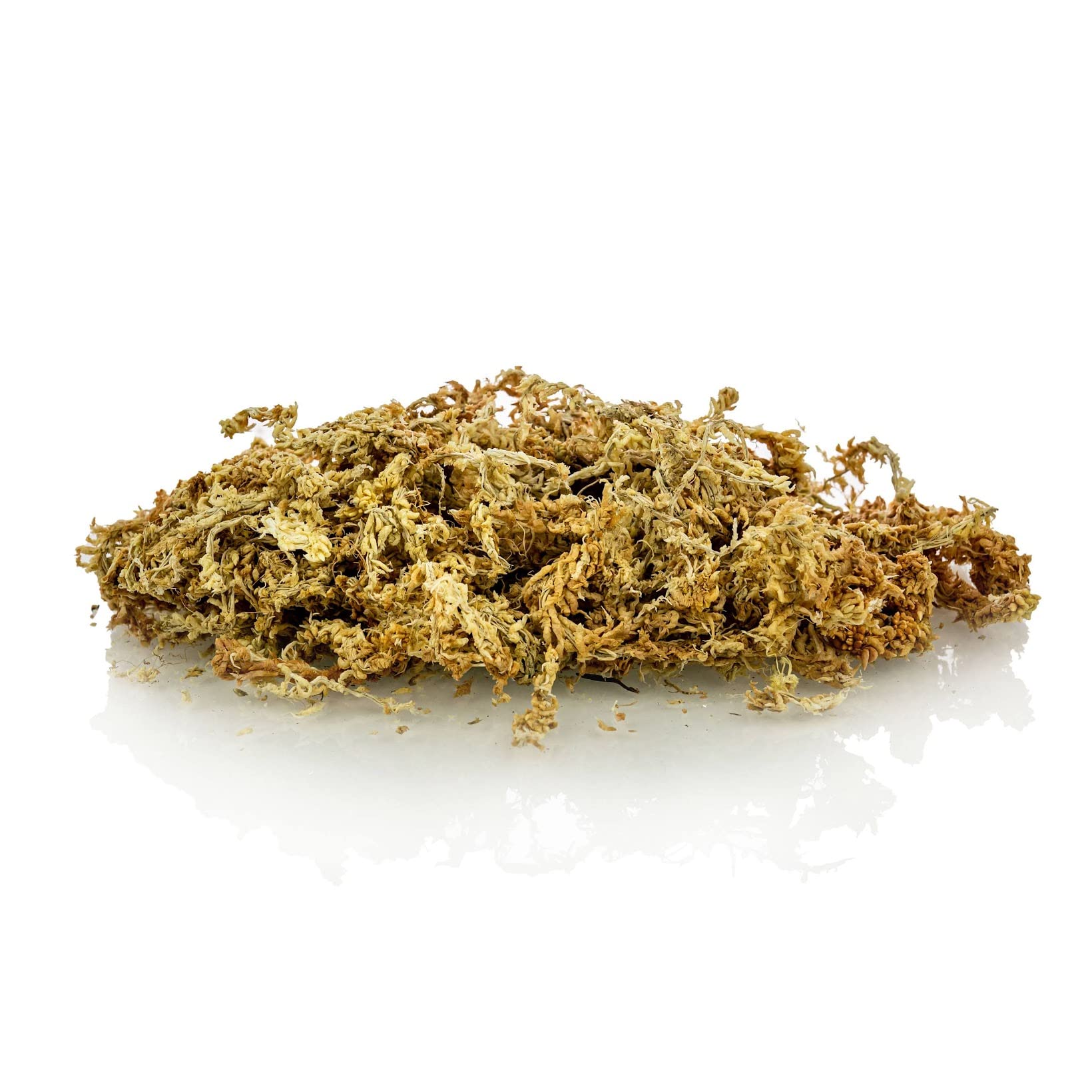 Gardenera sphagnum moss used as terrarium substrate for humidity