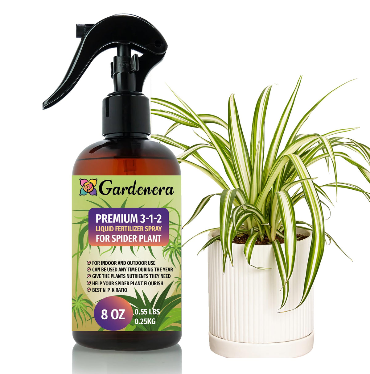 Gardenera spider plant spray bottle delivering ready-to-use nourishment for lush leaves.