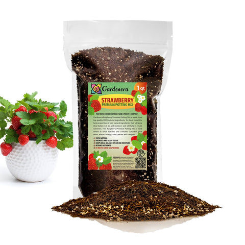 Gardenera Strawberry Potting Mix with premium blend supports vibrant container-grown strawberries.