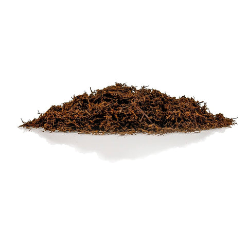 Gardenera tree fern capillary-action substrate ensures even water distribution.