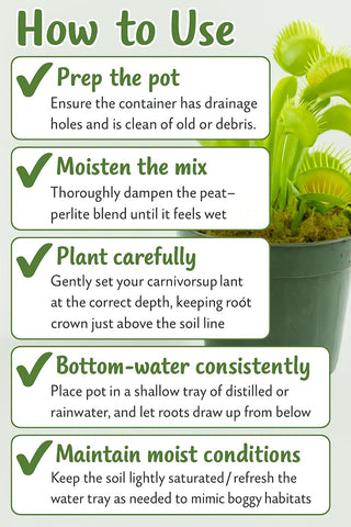 Gardenera Venus Fly Trap pot setup using moss blend