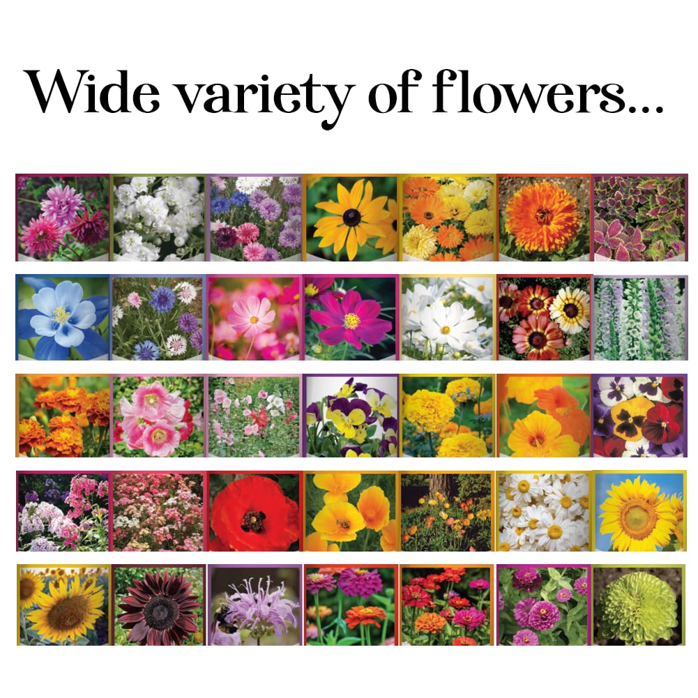 Gardeners Basics 35 varieties including perennials, annuals, and wildflowers