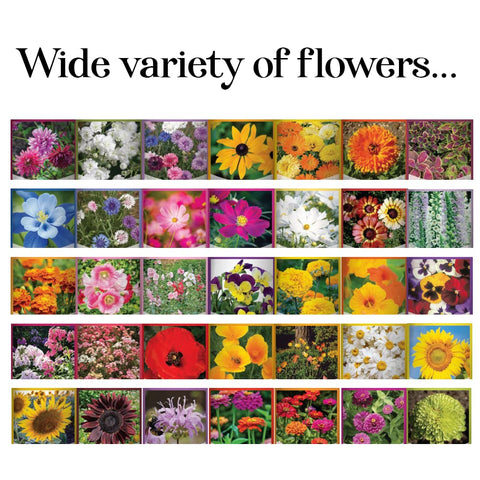 Gardeners Basics 35 varieties including perennials, annuals, and wildflowers