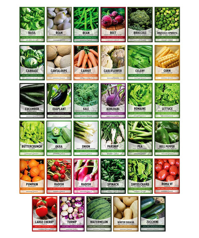 Gardeners Basics 16,000 seeds pack highlights abundance for reliable home gardening.