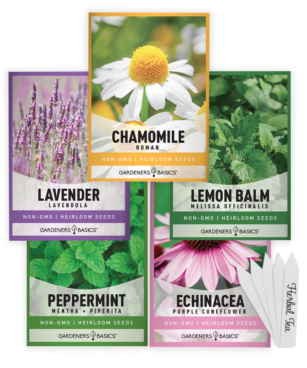 Gardeners Basics 5-varieties herbal tea seeds pack for indoor or outdoor gardens for fresh tea blends.