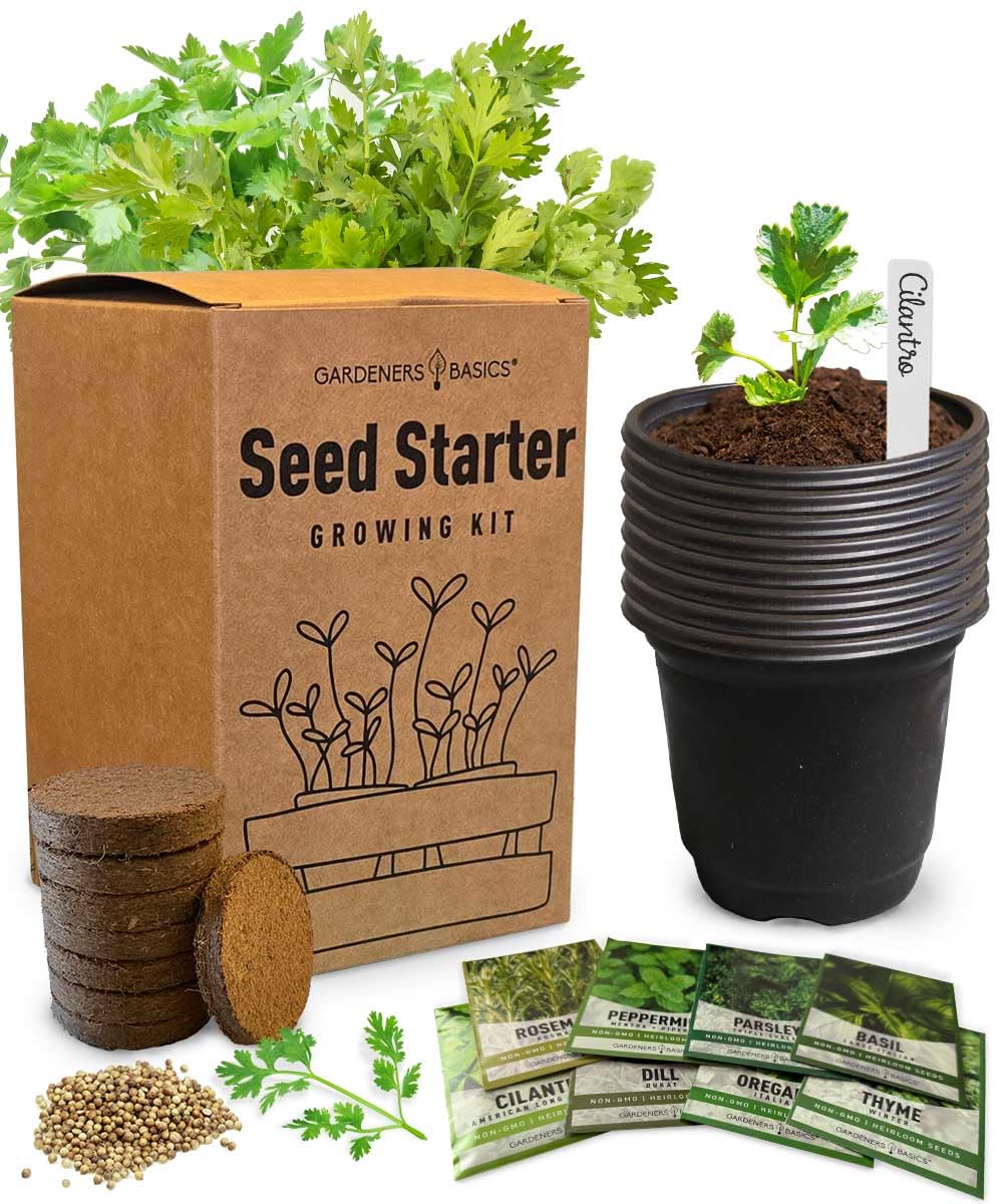 Gardeners Basics 8 Herb Seed Starter Kit packaging for versatile indoor and outdoor growing.