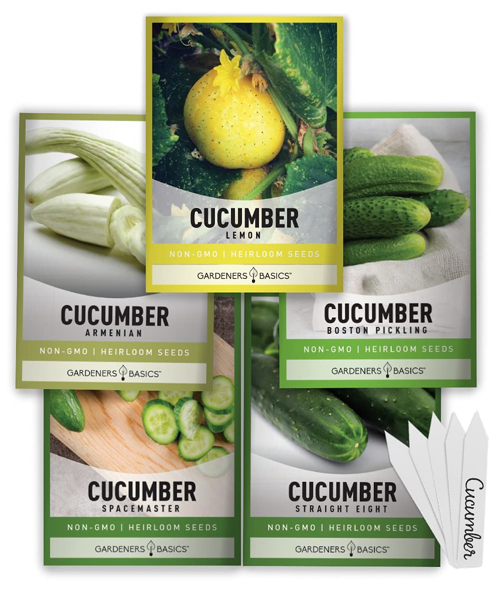Gardeners Basics Armenian cucumber seeds for burpless harvests with pale skin