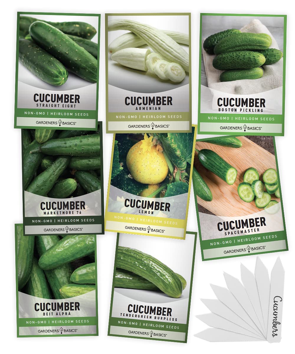 Gardeners Basics Armenian cucumber seeds for burpless, pale-green cucumbers ideal for fresh salads.