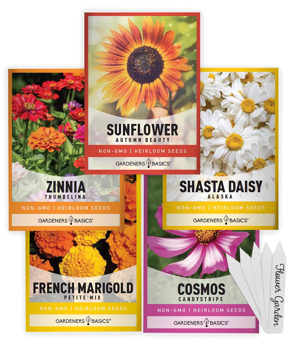 Gardeners Basics Autumn Beauty Sunflower seeds bloom in warm color, attracting pollinators.