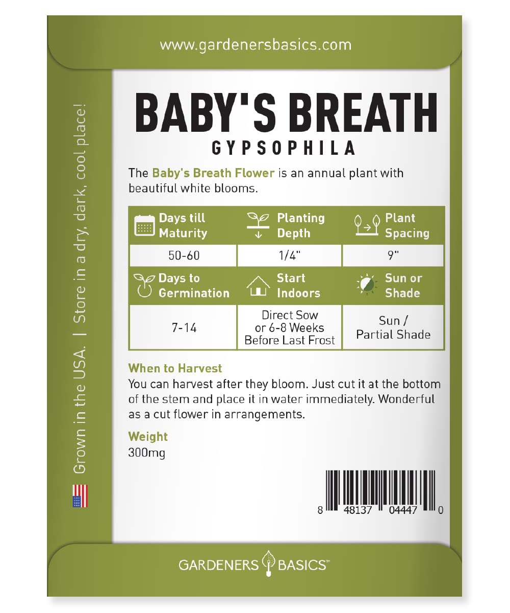 Gardeners Basics Baby's Breath seeds close-up showing white bloom potential