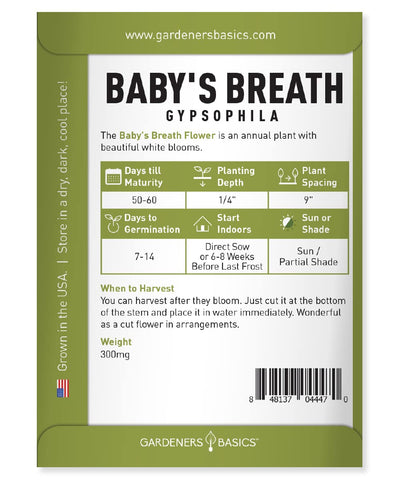 Gardeners Basics Baby's Breath seeds close-up showing white bloom potential