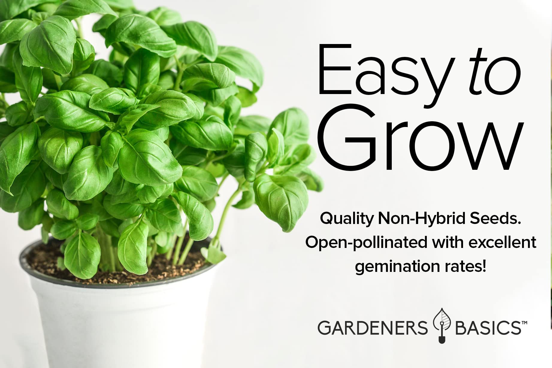 Gardeners Basics dark opal basil seeds pack with deep purple foliage for visual contrast