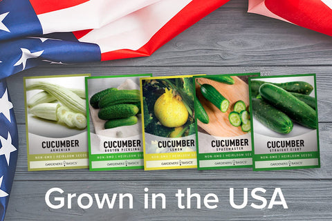Gardeners Basics Boston Pickling cucumber seeds for crisp, bite-sized pickles