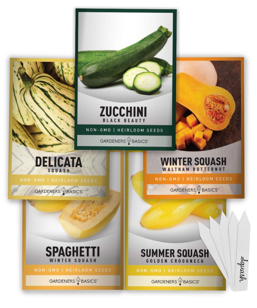 Gardeners Basics Delicata squash seeds packet for easy home planting